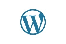 Wordpress tool for best freelance digital marketer in kannur